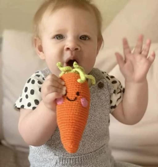 Carrot Rattle
